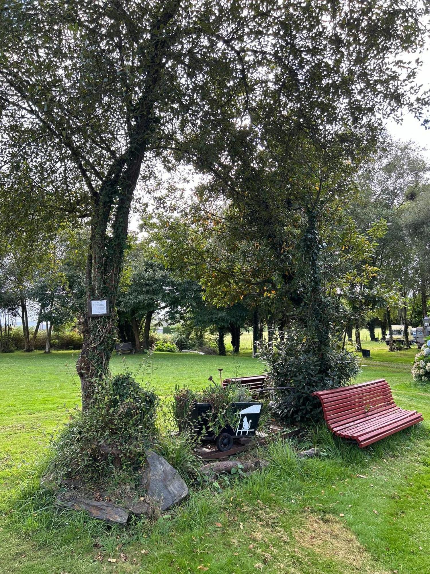Camping A Grandella El Franco Esterno foto